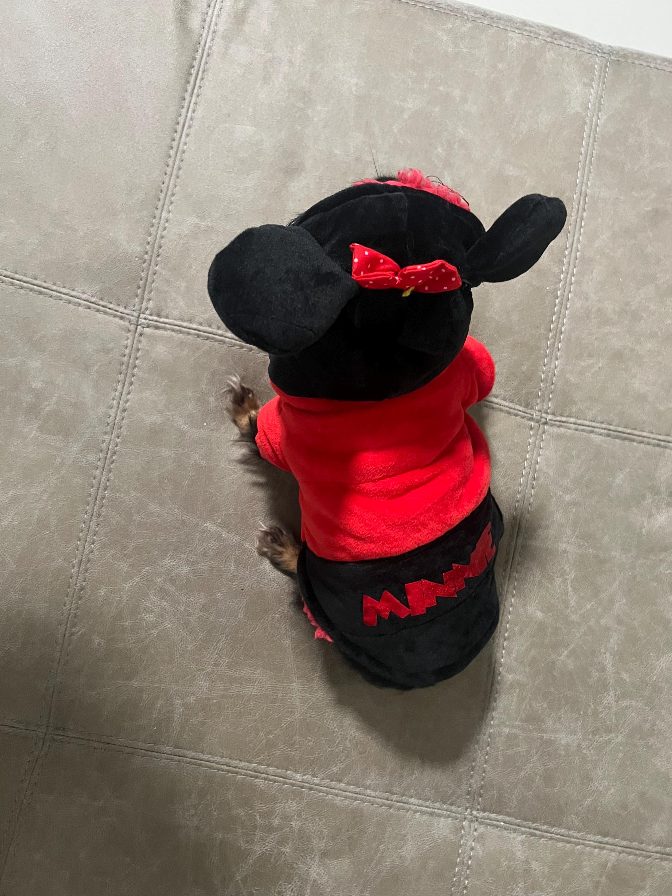 Minnie dog costume España
