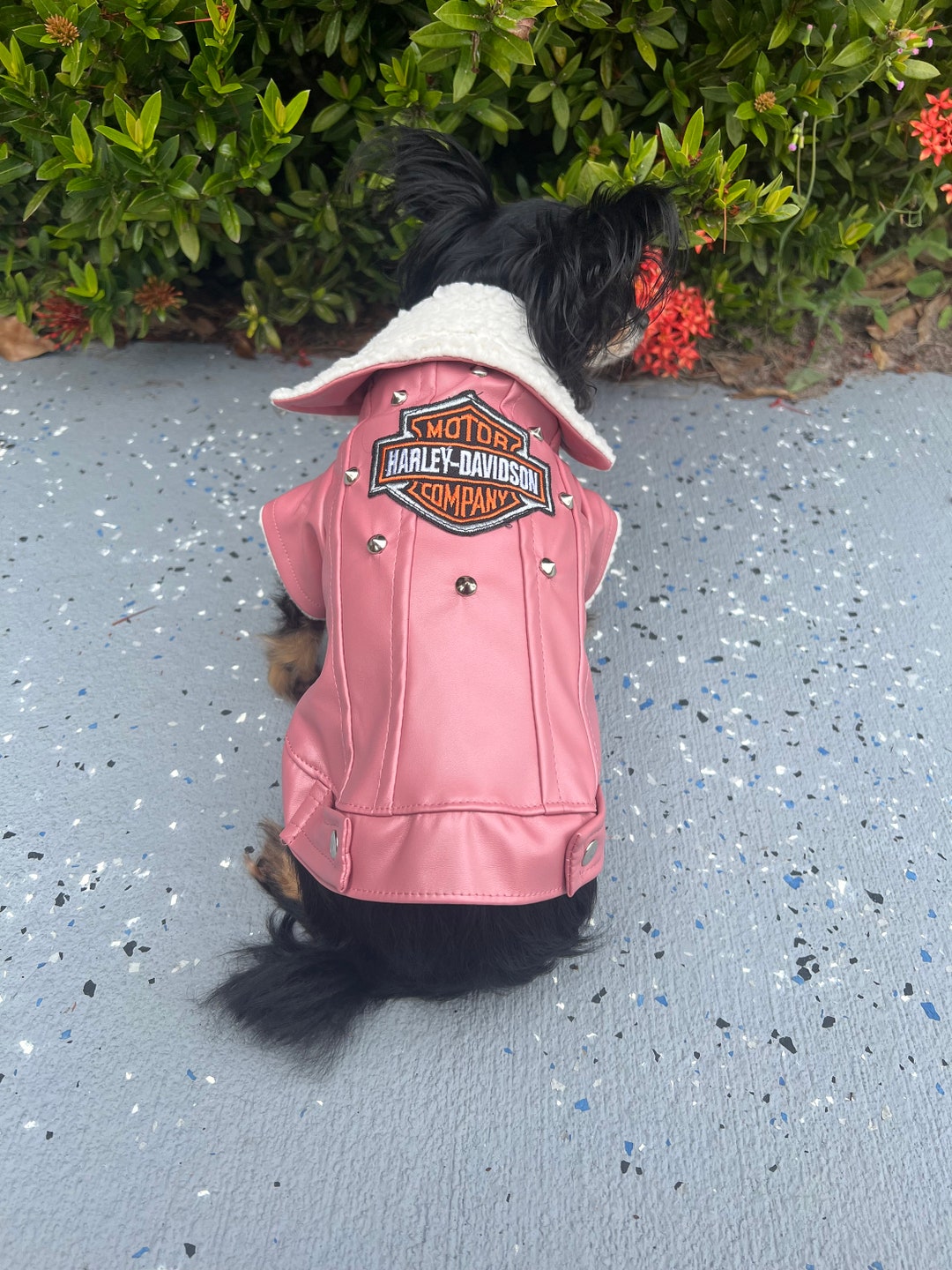Dog Motorcycle Jacket, Chopper Jacket Etsy