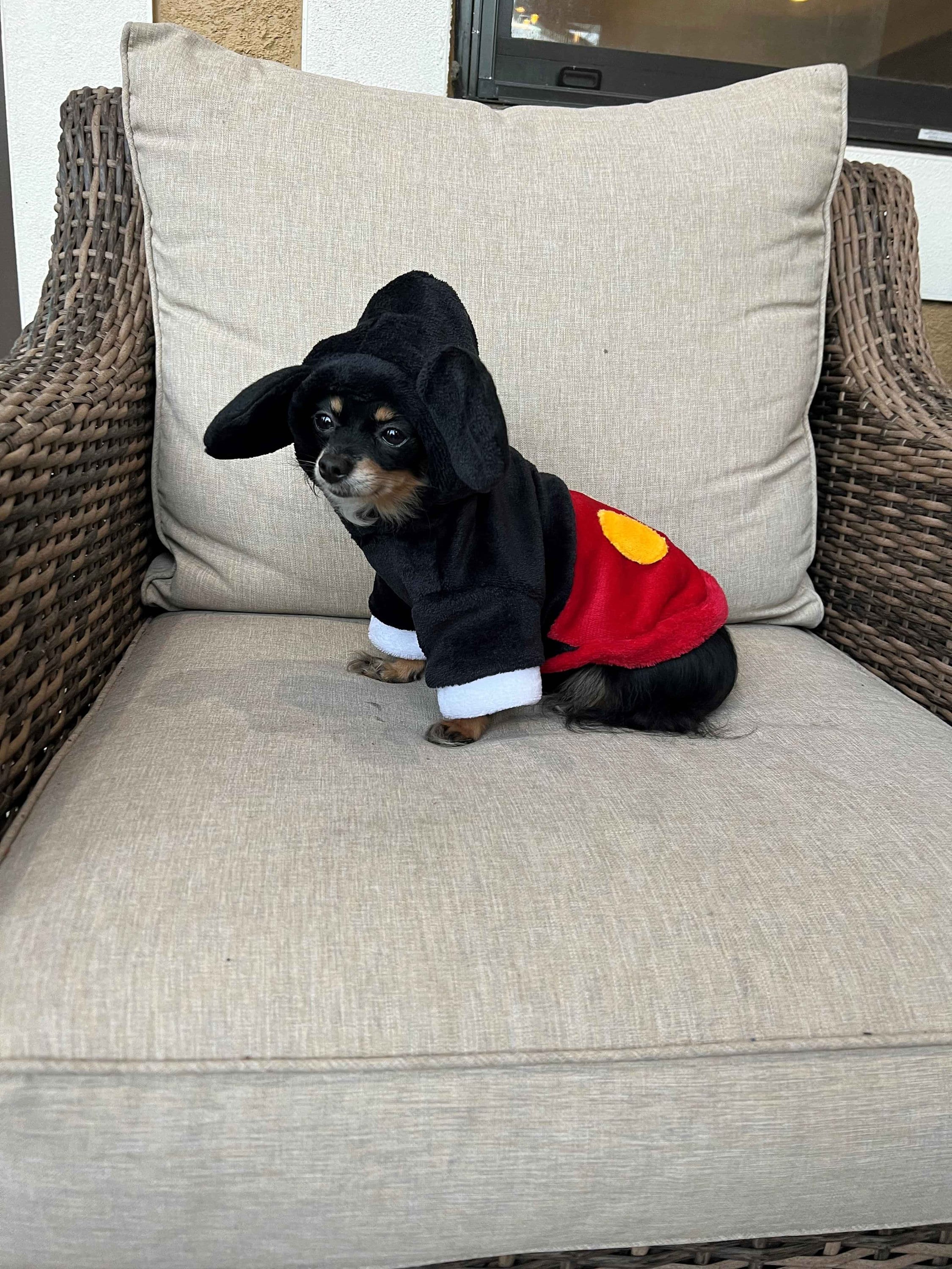 Mickey Mouse Dog Sweater Winter Sweater Dog Mickey Sweater Etsy