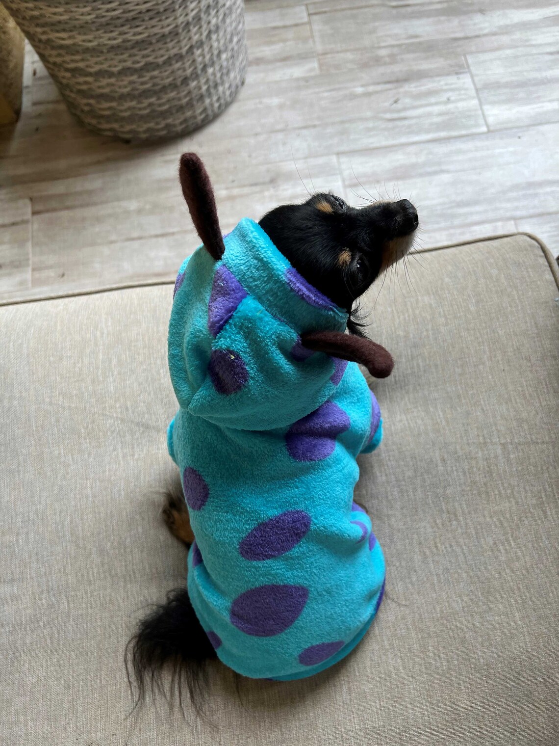 Monster Inc Sullivan Dog Sweater/ Sullivan Pet Sweater /moster Etsy