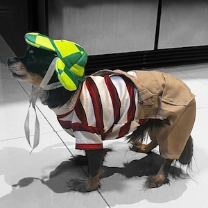 Chavo del 8 Hundekostüm, Chavo del Ocho, Hundekostüm, Mexikanisches Hundekostüm, El chavo del Ocho, Kostüm für Hunde