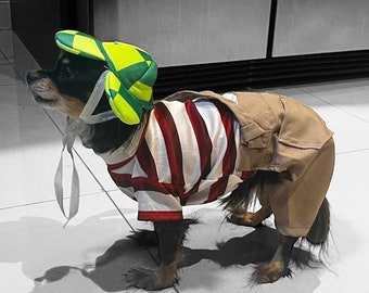 Disfraz de perro Chavo del 8, disfraz de perro Chavo del Ocho/ traje mexicano para perro/ disfraz de perro mexicano / El chavo del Ocho/ disfraz de perro