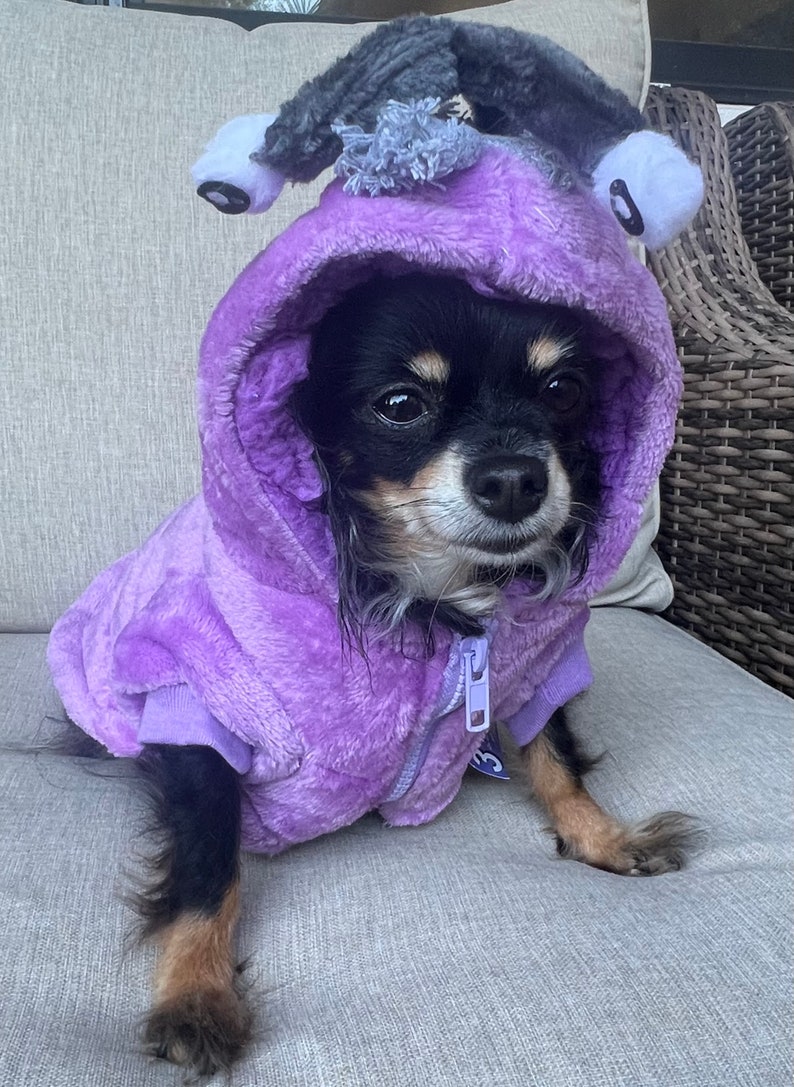 May include: A small black and brown chihuahua wearing a purple hooded sweater with a grey and white plush toy on top of the hood. The dog is sitting on a grey sofa.
