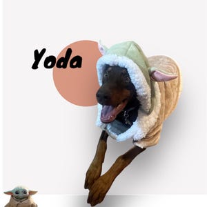 May include: A brown and black dog wearing a green and brown hooded costume with large ears. The costume is designed to look like the character Yoda from Star Wars. The dog is looking at the camera with its mouth open and tongue sticking out. The text "Yoda" is written in black on a peach-colored circle in the background.