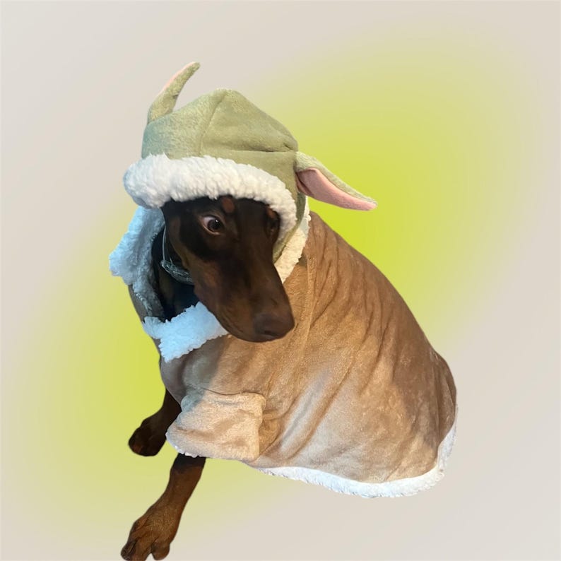 May include: A brown dog wearing a green and brown Yoda costume. The costume has large ears and a hooded top.