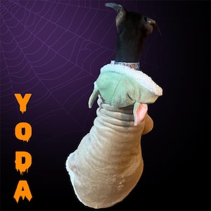 May include: A black dog wearing a brown and green Yoda costume. The dog is facing away from the camera. The costume has large ears and a hood. The background is a purple and black spiderweb pattern.