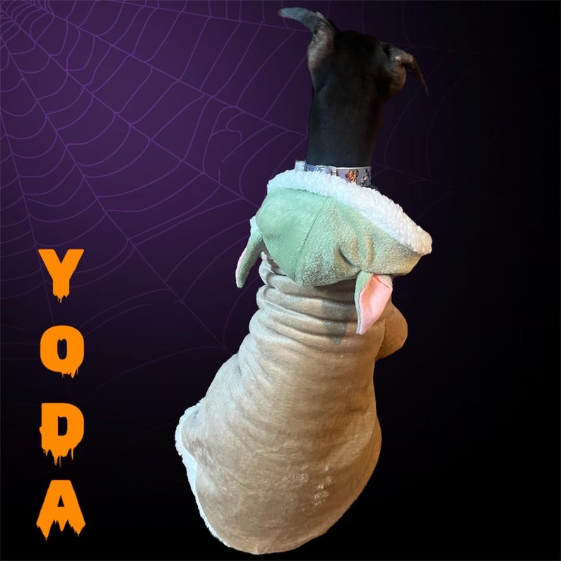 May include: A black dog wearing a brown and green Yoda costume. The dog is facing away from the camera. The costume has large ears and a hood. The background is a purple and black spiderweb pattern.