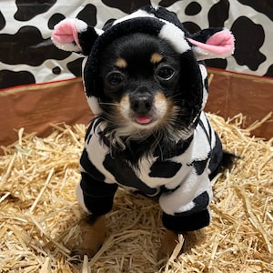 Cow Dog Sweater 