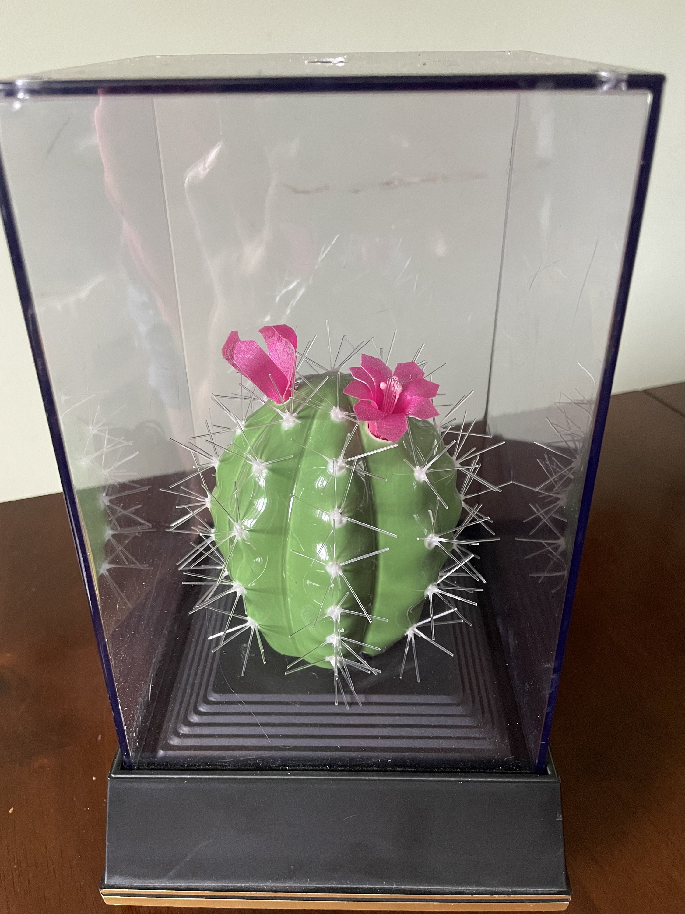 Vintage 1988 Fiber Optic Cactus Light Etsy Australia