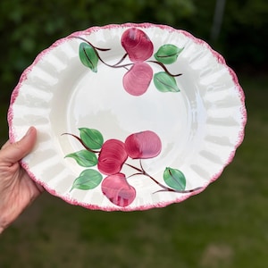 May include: A round ceramic plate with a cream-colored base and a scalloped edge trimmed in a textured pink pattern. The center features hand-painted illustrations of red apples on brown branches with green leaves arranged in two distinct clusters.