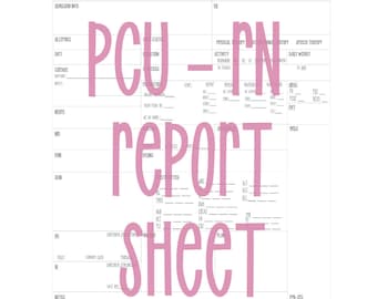 PCU RN Report Sheet: Intensivpflege (Digitaler Download)