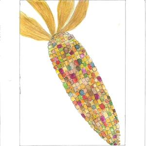 Corn on the Cob Fall Painting Watercolor; Original and Print;