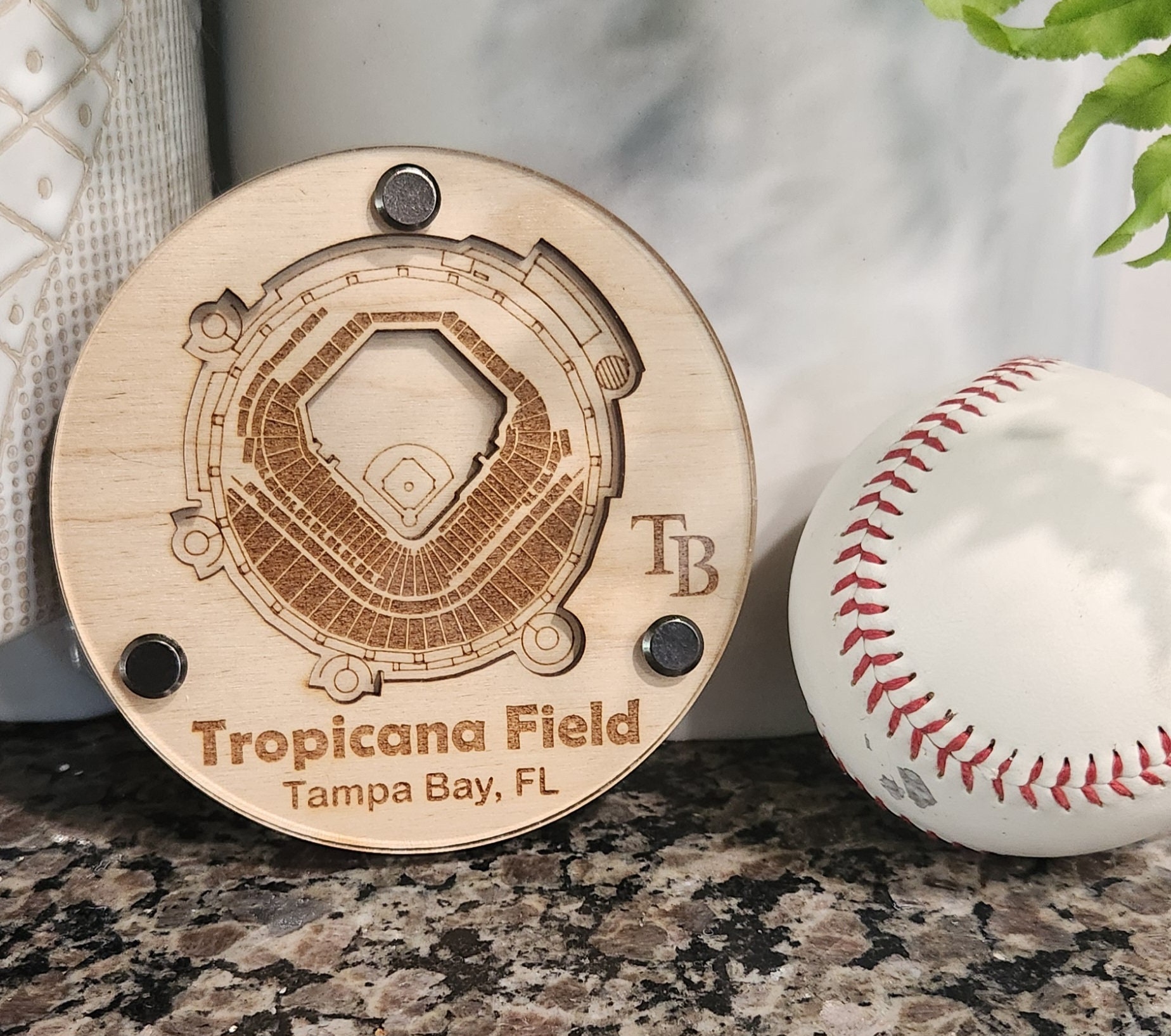 Rays Team Tampa Bay Rays Gift Shop Mlb Stadium Tropicana Field