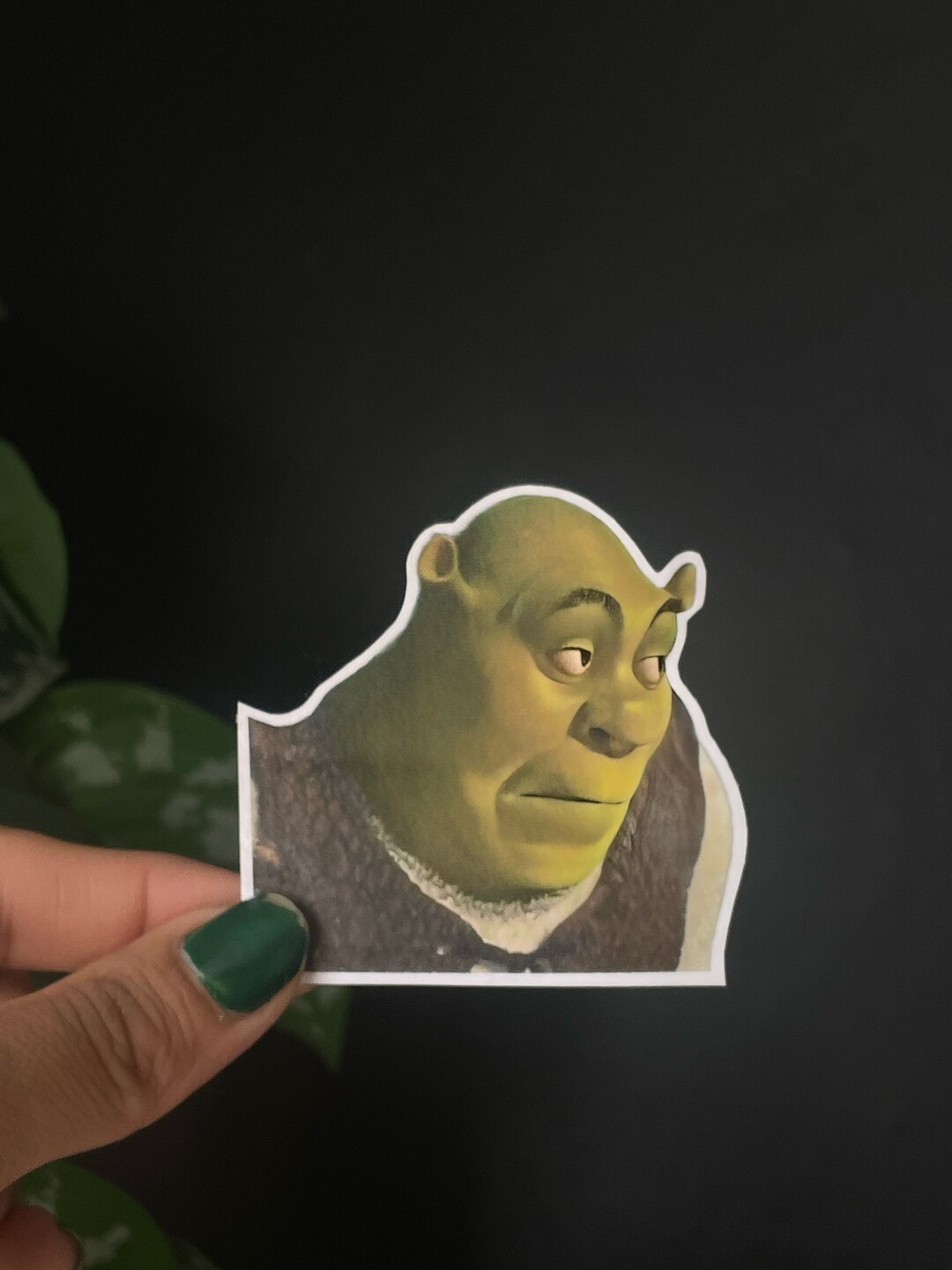 meme-shrek-etsy