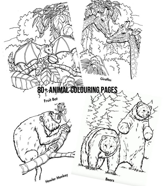 Mindfulness Animal Colouring Pages - Etsy