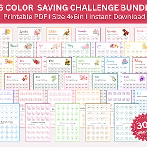 Savings Challenge Printable Binder, Money Savings Challenge, Mini Saving Challenges, Monthly Saving Challenge Budget Binder Fits A6 Sized