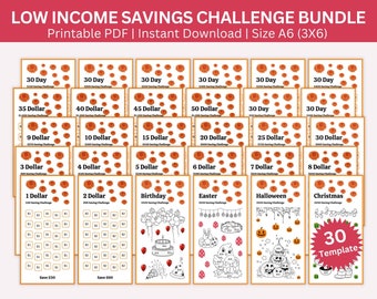 A6 Savings Challenge Printable Bundle: Low Income Budget Binder (PDF)