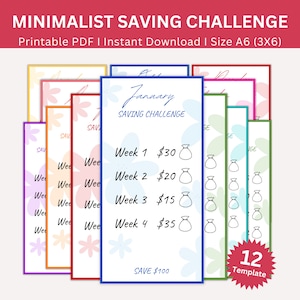 Minimalist Savings Challenge Printable, Low Income Saving Challenges, Monthly Saving Challenge Bundle, A6 Mini Money Savings Tracker
