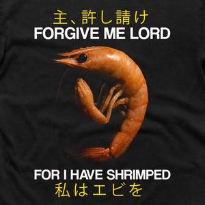 May include: Black t-shirt featuring the phrase "FORGIVE ME LORD FOR I HAVE SHRIMPED" in white and yellow, with Japanese text. A cooked shrimp is the central image. The Bella Canvas logo is visible in the bottom right corner of the shirt.