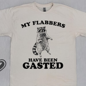 My Flabbers Have Been Gasted Shirt, Funny Raccoon Meme, Funny Trash Panda, Vintage Retro Cartoon Shirt, Silly Tee, Weird Animal Sweatshirt