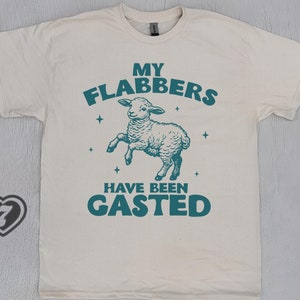 My Flabbers Have Been Gasted, Silly T Shirt, Baby Lamb Sheep Shirt, Cute Sheep Shirt, Funny Animal Sayings Shirt, Funny Sheep Meme T-Shirt