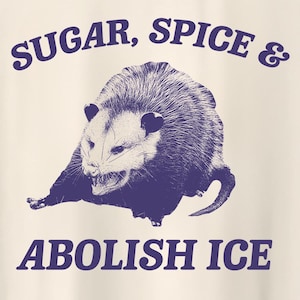 Sugar Spice y Abolish ICE - Camiseta retro de dibujos animados, camiseta rara, camiseta meme, camiseta de Trash Panda, camiseta unisex