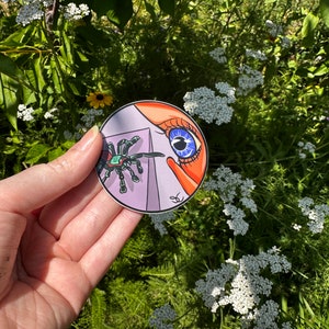Adesivo de bebê aranha
