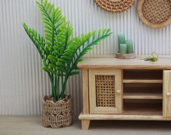 Miniature Dollhouse Palm Large Leaf Tropical Plant