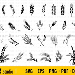 30 Grano SVG/ Grano Svg/ Grano Clipart/ File di taglio/ Cricut/ Sagoma di grano/ Vettore/ Orzo Svg/ Piante agricole Svg/ Decal/ Uso commerciale