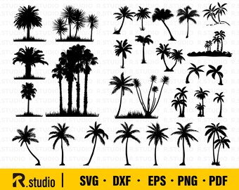 Palm Tree SVG / Palm Tree Clipart / Palm Cut Files / Strandpalm svg / Palm Tree Dxf File / Cricut / Boom Silhouet / Vector / Zomer svg / Eps / Png