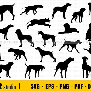 Whippet Dog Svg/ Greyhound Dog Svg/ Digital Cut files/ Commercial Use/ Decal/ Circut file/ Printable/ Vector/ Dog Svg/ Dog Mama Svg