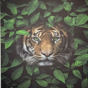 Framed Tiger Wall Decor with Wall Mounts for kids teenagers and adults home decor