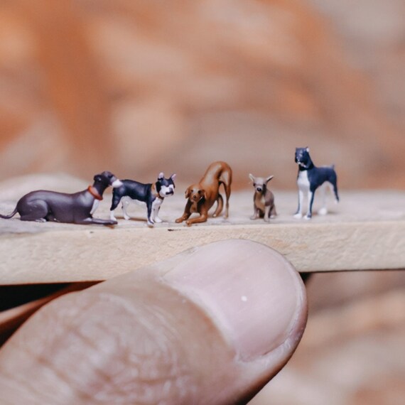 Collection Complète De 19 Miniatures De Chiens Races Différentes Avec étagère