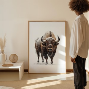 American Bison in Snow Canvas Print - Framed Buffalo Wall Art