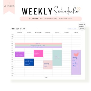 Hourly Weekly Schedule Printable: A4, Letter Size (FILLABLE PDF)