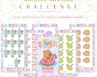 PRINTABLE Mini Savings Challenges: A6 Planner Inserts (PDF), Summer Holiday Theme