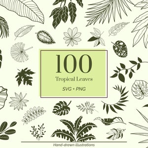 Tropical Leaves Svg Png Bundle Monstera Svg Palm Leaf Svg Tropical Clipart Botanical Svg Jungle Leaves Svg Commercial Use Included