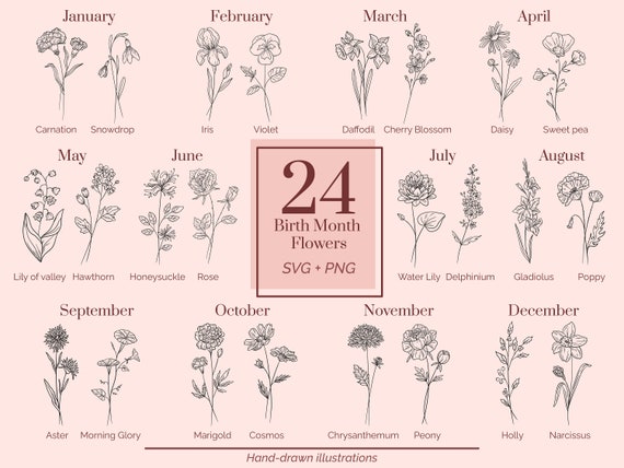Birth Month Flower Svg Png Bundle, Floral Svg, Birth Flower Svg, Botanical Svg, Daisy Svg, Rose Svg, Wildflower Svg, Birthday Svg