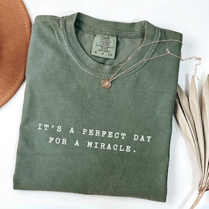 IVF Miracle Shirt: Comfort Colors® Transfer Day Tee
