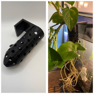 Pothos Planter for Emersed Plants decor / aquascaping for Aquarium