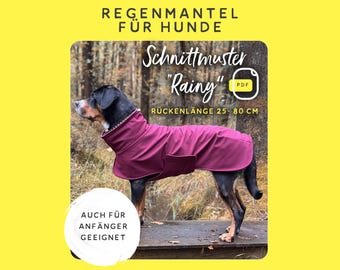 getreidefreies trocken hundefutter Trockenfutter