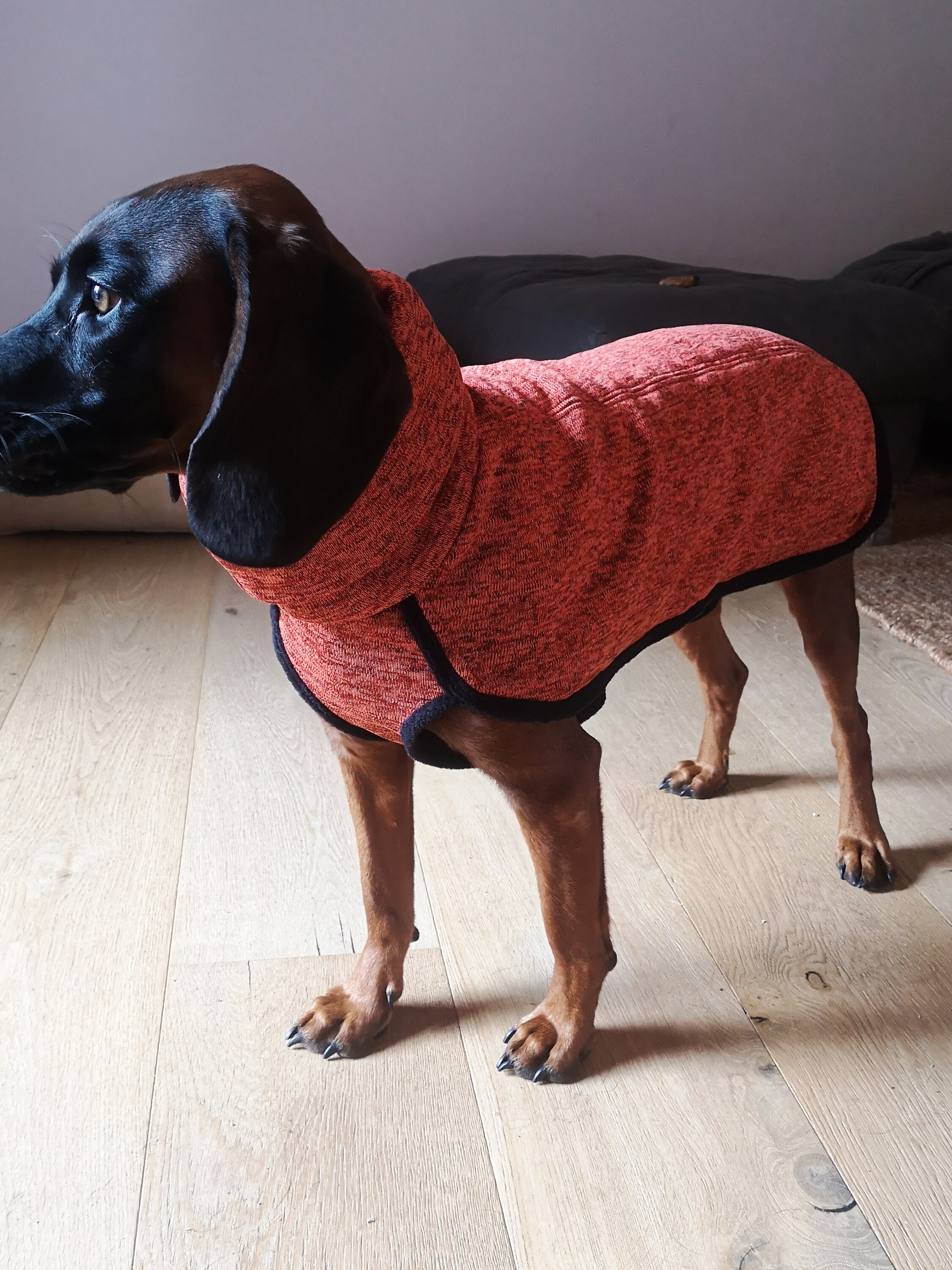 Hundemantel Mit Geschlossenem Bauch Selber Nahen