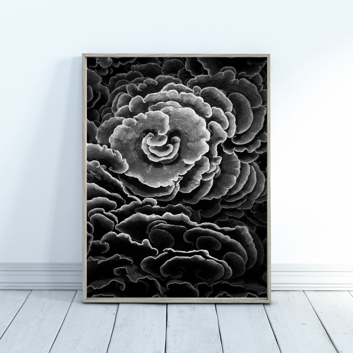 Black and White Coral Reef Wall Art Set of 3 Beautiful Coral - Etsy