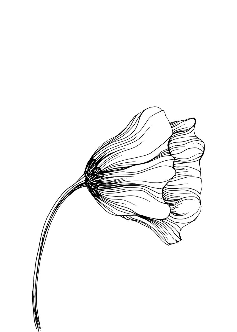 FLOWER Wall Art Printable Set of 3 Minimalistic 6 Sizes Etsy