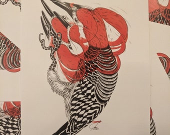 Red-bellied Woodpecker (print)