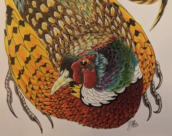 Ring Necked Pheasant (print)