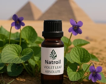 Liść fiołka (Viola odorata L.) ABSOLUTNY