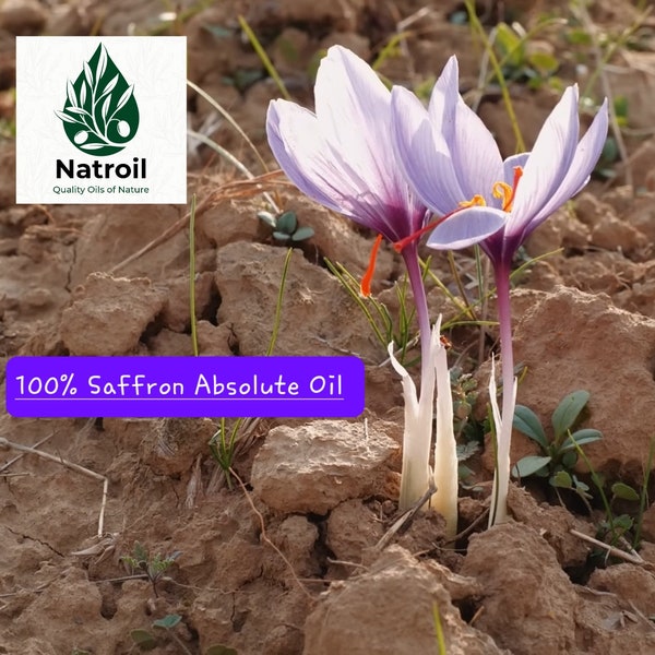 Kashmir Saffron (Crocus sativus) absolute oil 100%