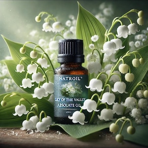 Olio assoluto di mughetto (Convallaria majalis L.) 100%