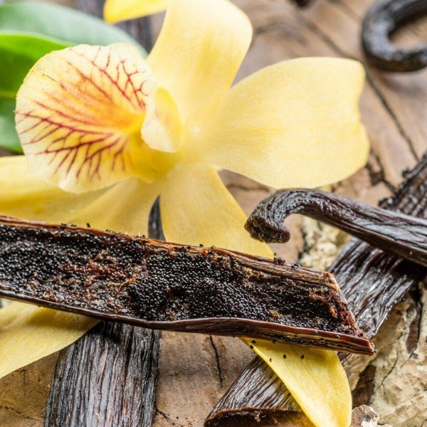 Vanilla (Vanilla planifolia L.) Absolute Oil 100%